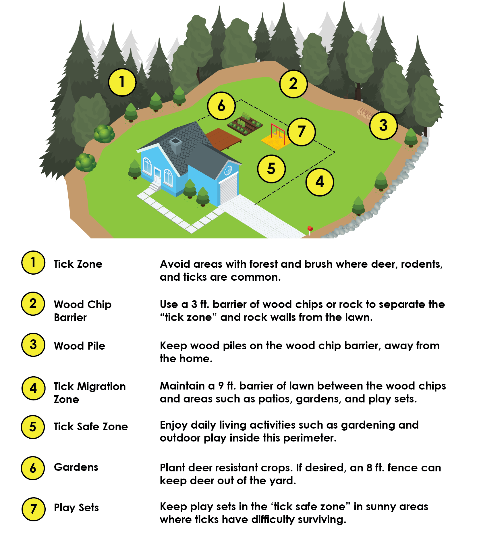 graphic of a property landscaped to discourage ticks