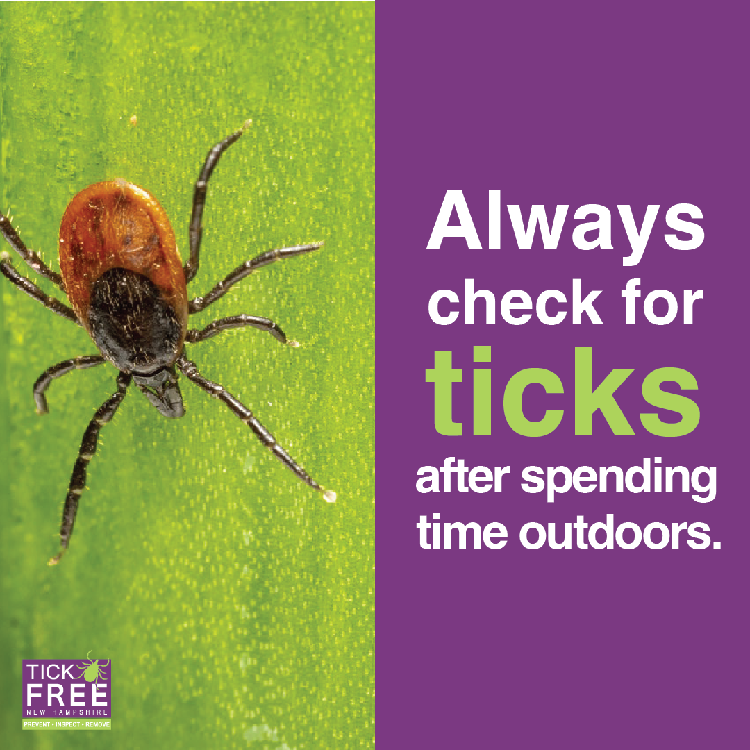 Always check for ticks after spending time outdoors.
