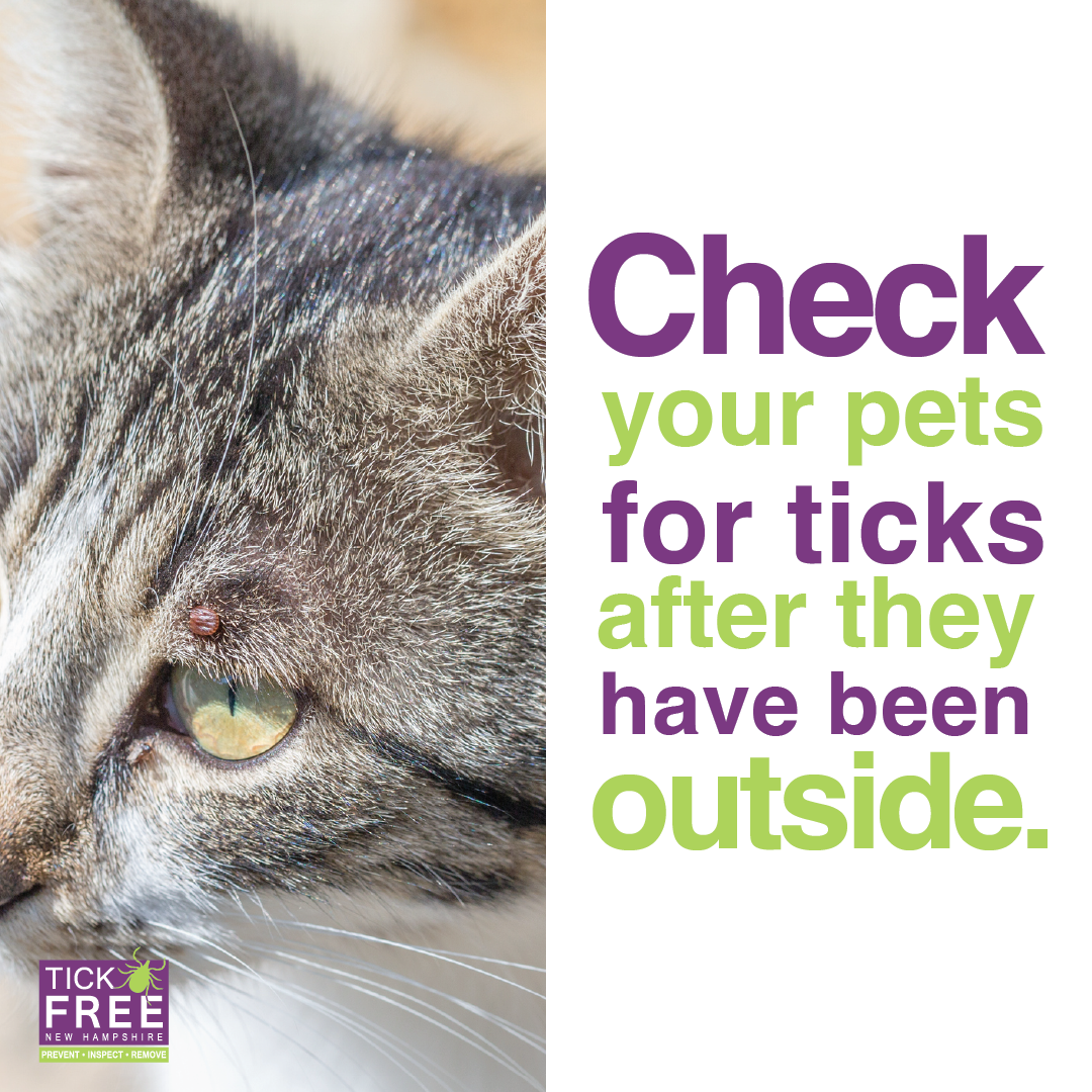Check your pets for ticks after they have been outside.