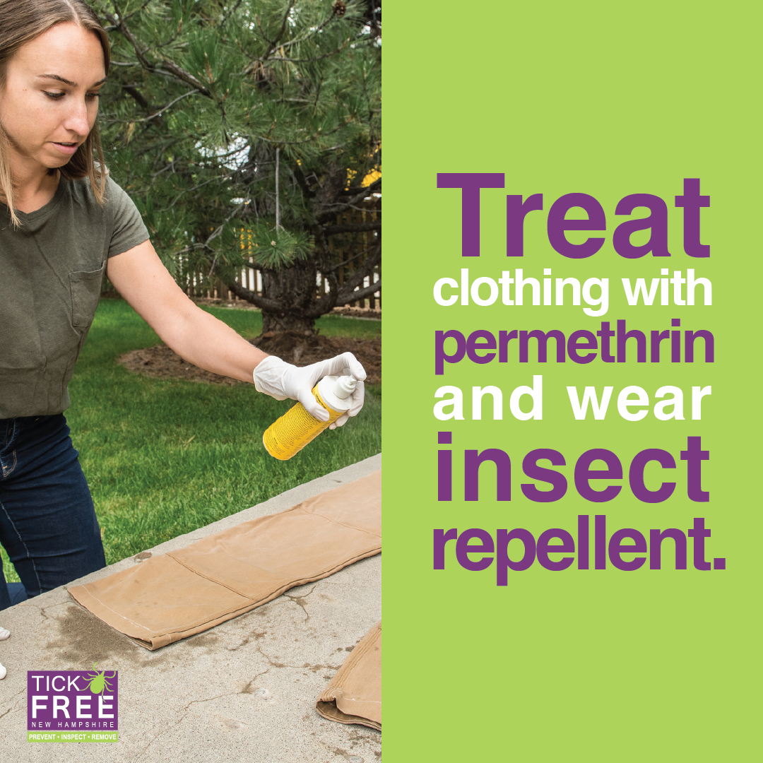 Treat your clothing with permethrin and wear insect repellent.