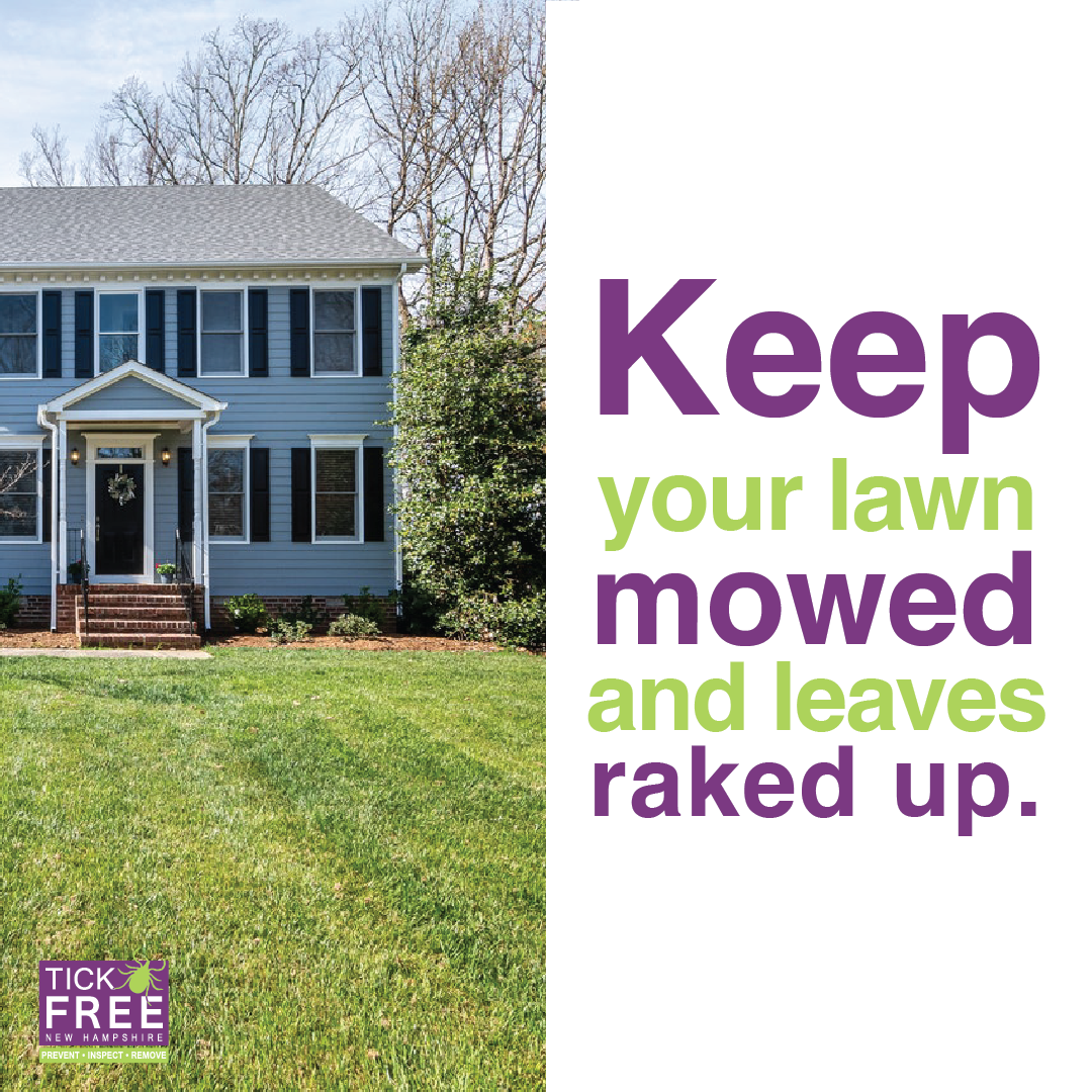 Keep your lawn mowed and leaves raked up.
