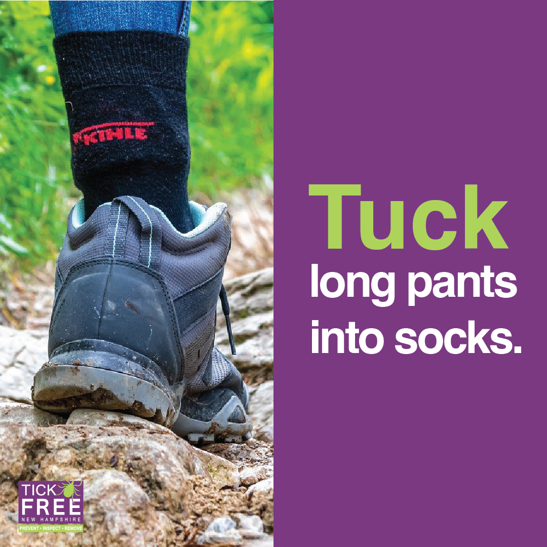 Tuck long pants into socks.