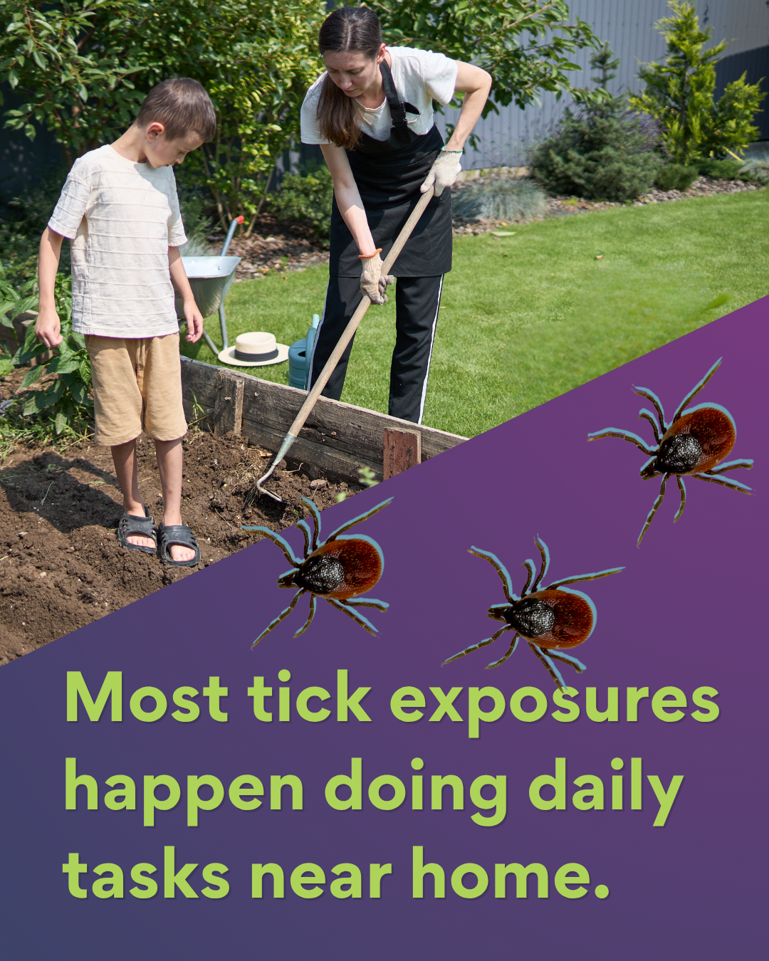 Most tick exposures happen while doing daily tasks near home. | Tick Free NH