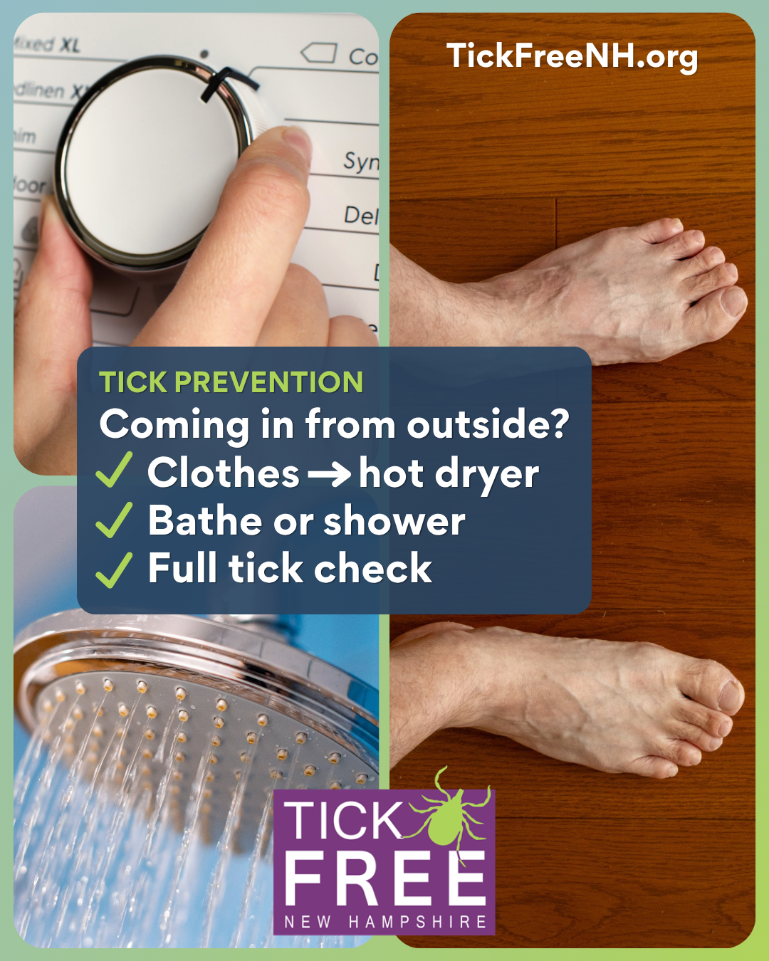 Coming in from outside? Tick prevention: Clothes into a hot dryer; Bathe or shower; Full tick check. | tickfreenh.org | Tick Free NH