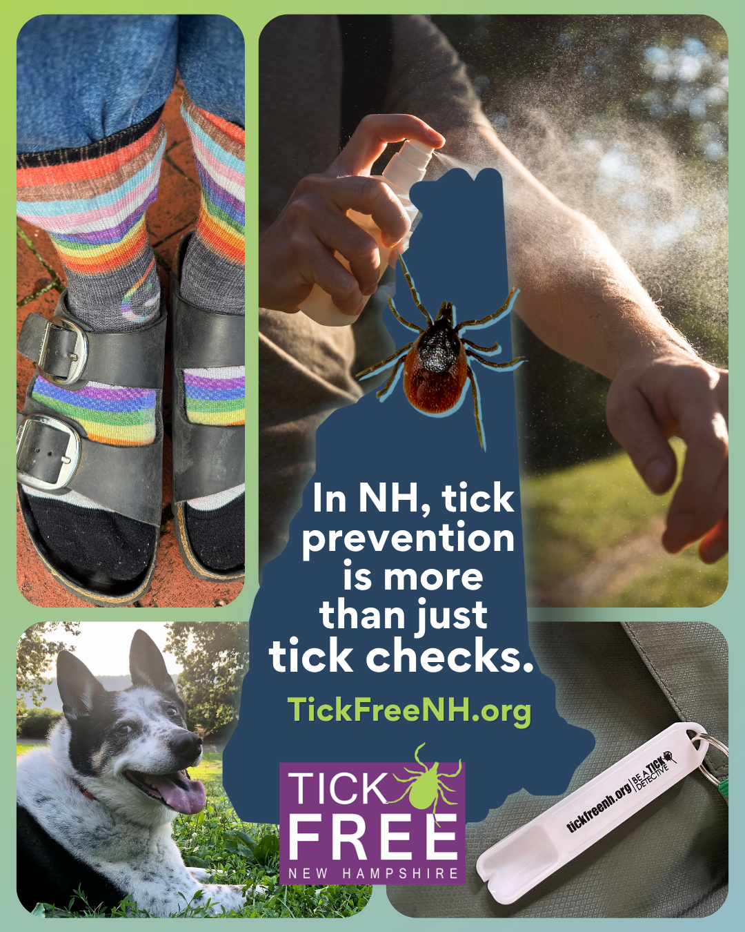 In NH, tick prevention is more than just tick checks. | tickfreenh.org | Tick Free NH