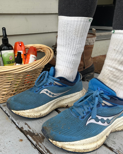 tick protection with pants tucked into socks and tick repellents