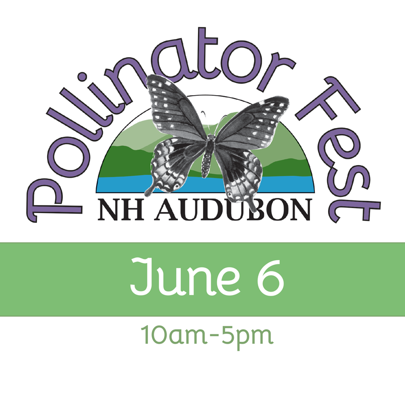 Pollinator Fest 2026 - NH Audubon - June 6 from 10am - 5pm